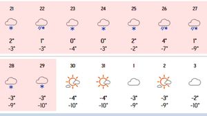9 zile consecutive de ninsoare în România, potrivit meteorologilor Accuweather. Care sunt orașele vizate