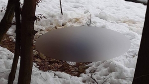 A fost identificat bărbatul decapitat în Baia Mare! Ies la iveală detalii șocante