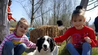 Micuţa Anastasia a fost considerată un geniu! Cum arată azi fetiţa care la 2 ani recita ”Luceafărul” integral