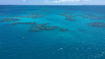 Cum arată „marea care nu atinge niciodată uscatul”. Navigatorii își dau seama că intră în apele ei doar după culoare