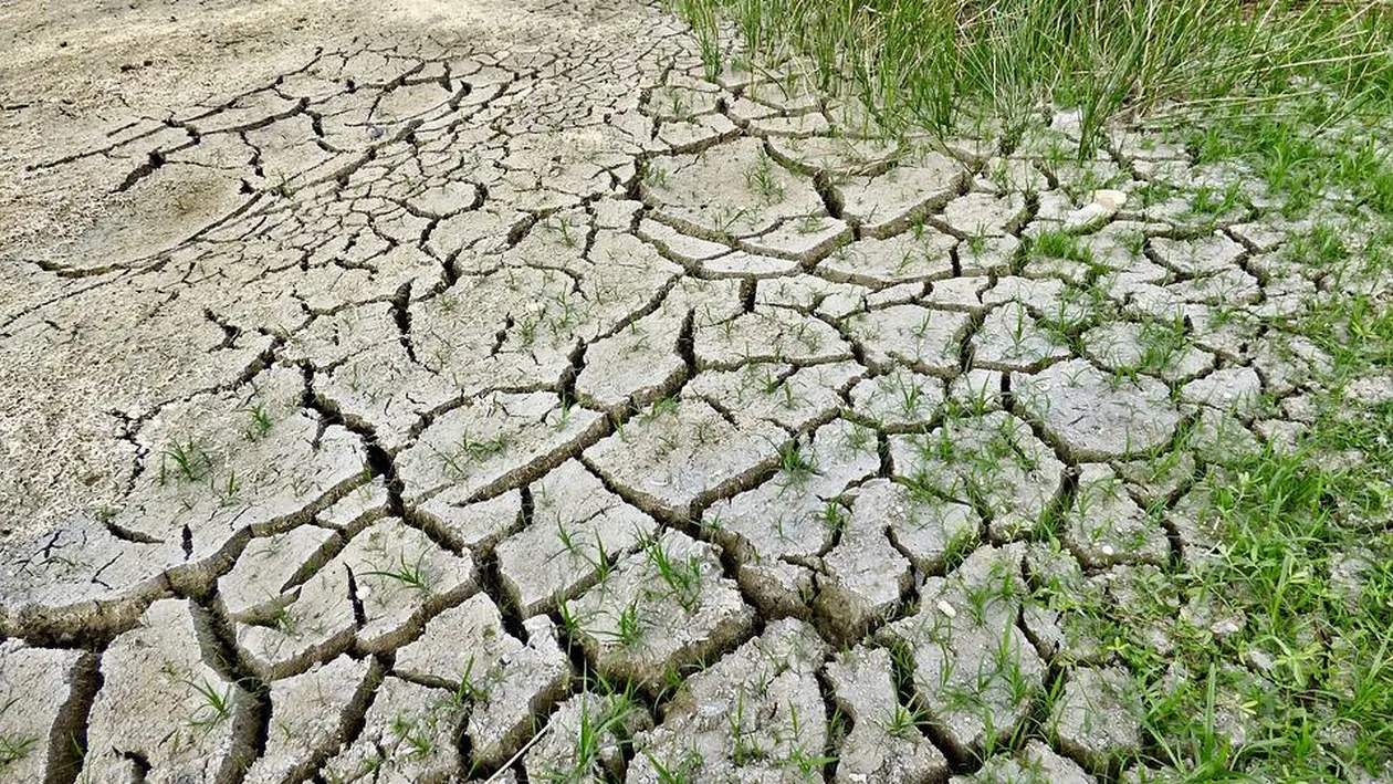 Vești proaste pentru întreaga lume. Pericolul ca planeta să se încălzească în următorii ani cu peste 1,5 grade a crescut la 50%