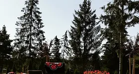 Galerie foto - poza 2