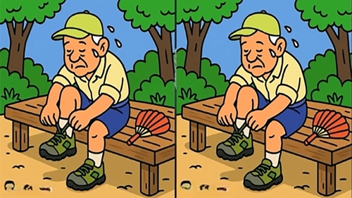 Test de inteligență | 3 diferențe în 27 de secunde: Le puteți identifica pe toate?