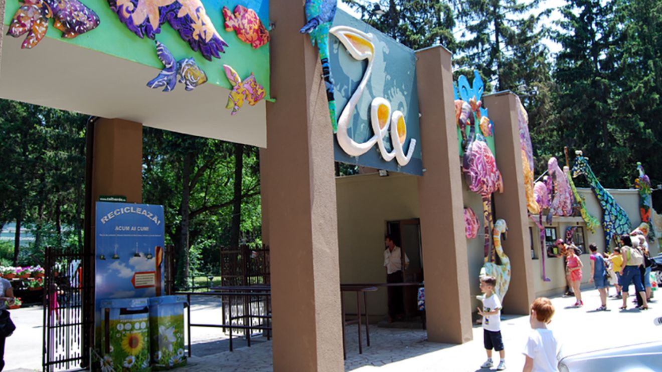 BREAKING | Incendiu la Grădina Zoologică din București. Pompierii intervin cu 11 autospeciale: arde o suprafață de 2000 de metri