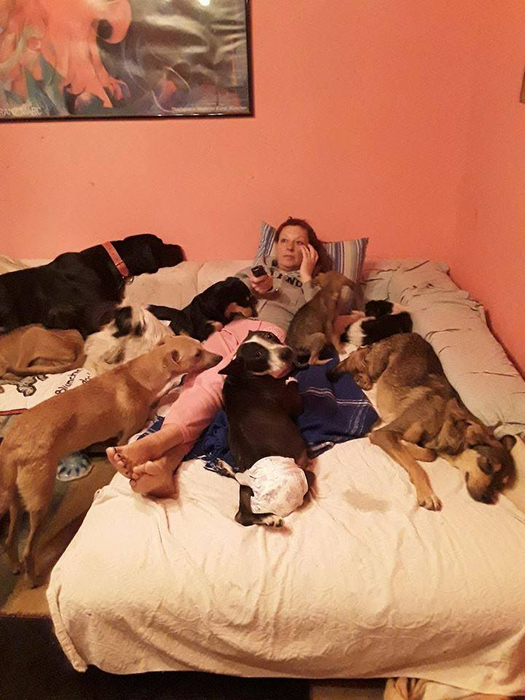 Câinii preferați ai Danielei, de care nu se desparte nici atunci când doarme