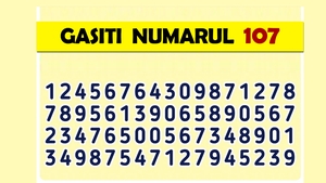 Test de inteligență | Găsiți numărul 107 în această imagine!