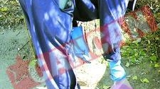 Invazie de sobolani in Capitala
