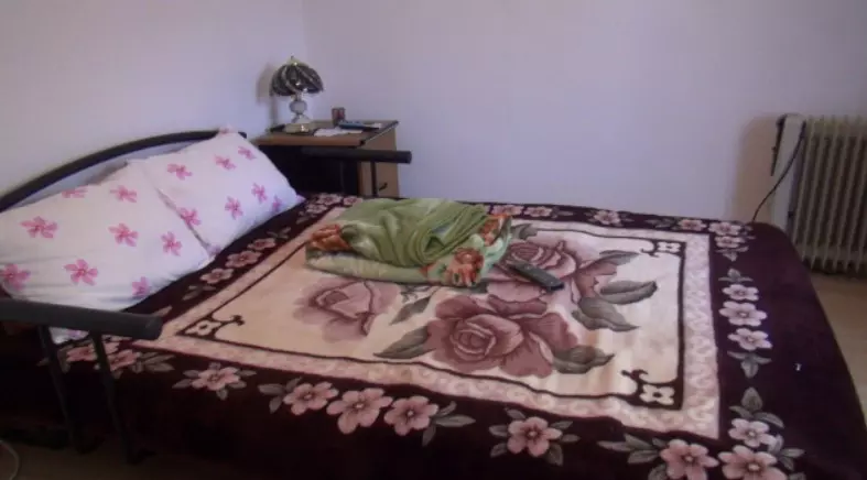 Cum arată casa din Teleorman în care a copilărit Gina Pistol. Și-a petrecut primii ani într-o gospodărie modestă
