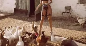 Galerie foto - poza 2