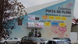 In Bucuresti s-a deschis prima piata de flori de dupa Revolutie! Vezi unde