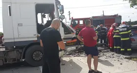 Galerie foto - poza 1