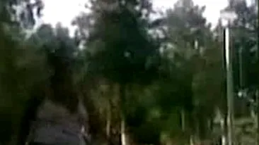 Doamnele astea doua au dus injuraturile la un alt nivel! Nu folosesc cuvinte obscene dar se jignesc in ultimul hal: Fai canceroaso, diabetico, smoala dreacu - Atentie, un altfel de limbaj licentios