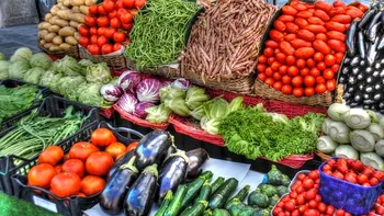 Profesor Doctor Mircea Beuran avertizează asupra riscurilor dietelor vegetariene pe termen lung și a importanței unei alimentații variate