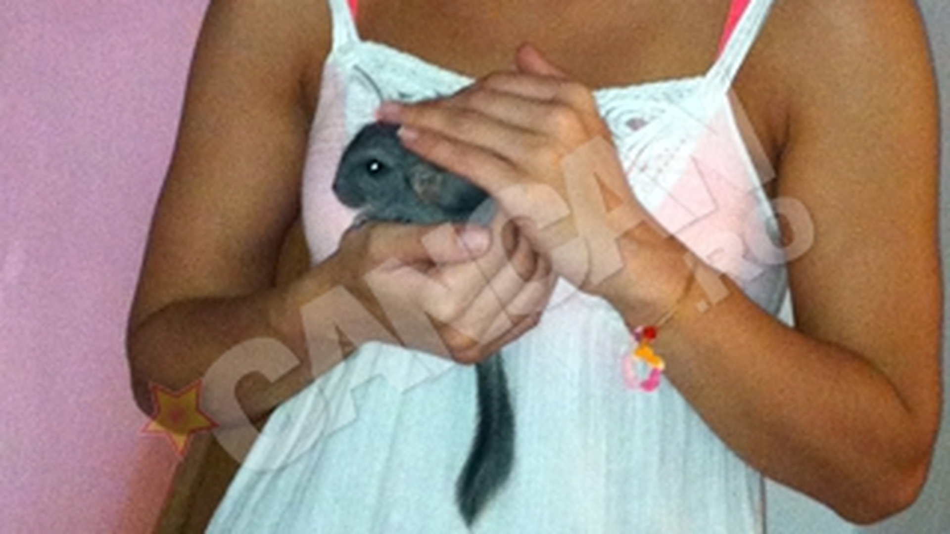 Magda Palimariu a primit cadou de la iubitul ei o chinchilla! VEZI cum a botezat-o