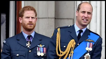 Adevăratul motiv pentru care Prințul Harry și Prințul William nu vor moșteni casa în care a crescut Prințesa Diana