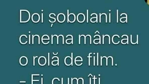 BANCUL ZILEI | Doi șobolani, la cinema