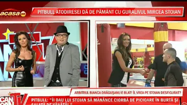 Pumni, picioare şi vănătăi! Bătaie la CANCAN TV: Pitbull a dat, Stoian a încasat şi Bianca a comentat!