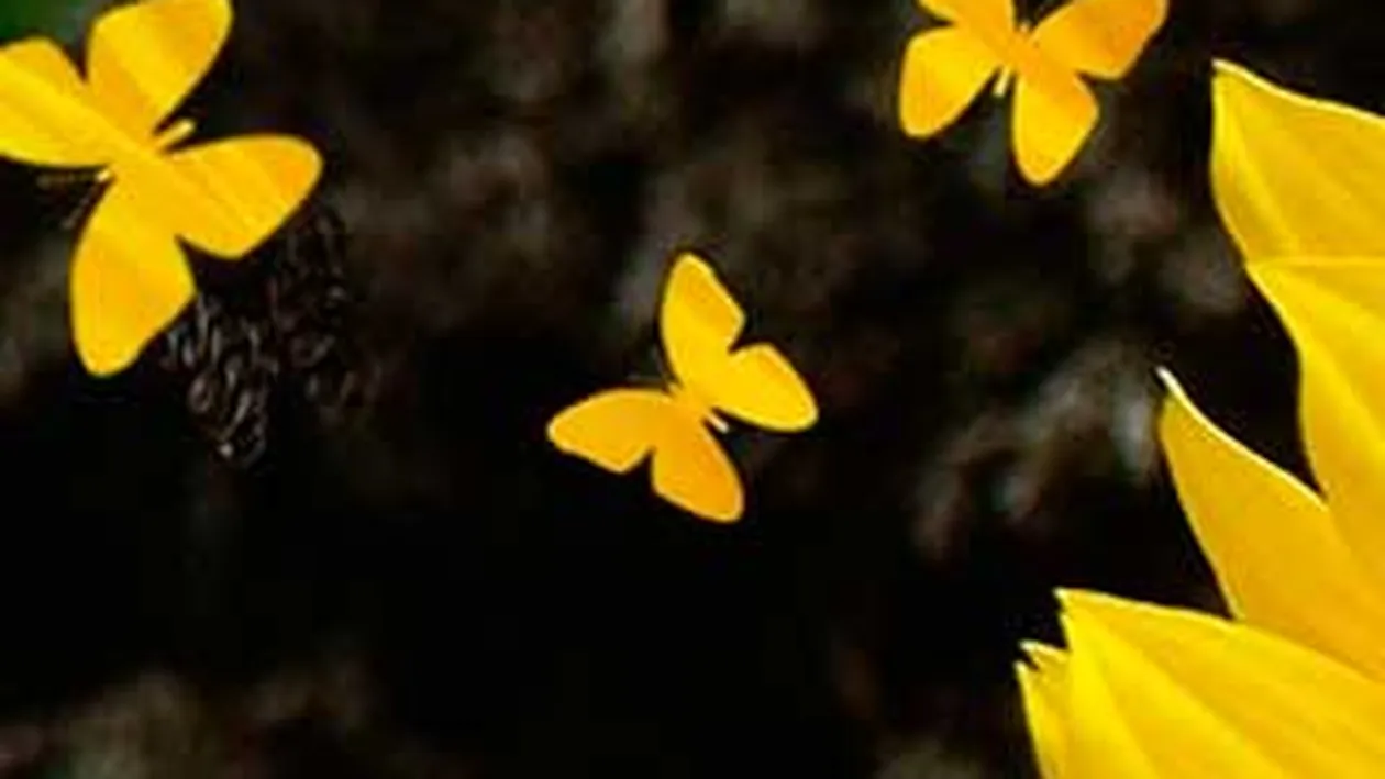 Anul 2012 a inceput(P 30)- Psihopatii exista, dar ne putem apara de ei