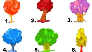 Testul copacului. Ce spune alegerea ta despre personalitatea pe care o ai