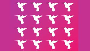 Test de logică | În această poză sunt 16 păsări, dar una e diferită de celelalte. Care?