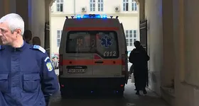 Galerie foto - poza 2