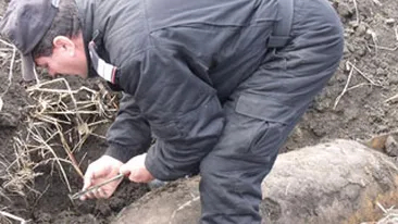 Bombe din Al Doilea Razboi Mondial au fost descoperite intr-o piata din Targu Mures