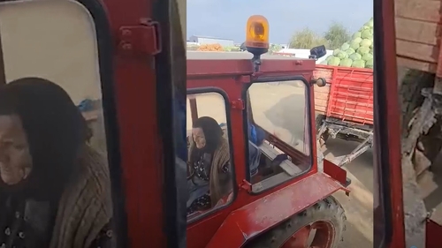 O bătrână muncește la 82 de ani ca în floarea vârstei. Femeia a fost filmată în timp ce transporta tone de varză cu tractorul