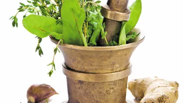 Medicina apeleaza din ce in ce mai des la puterea naturii! Plantele ne ofera solutia verde