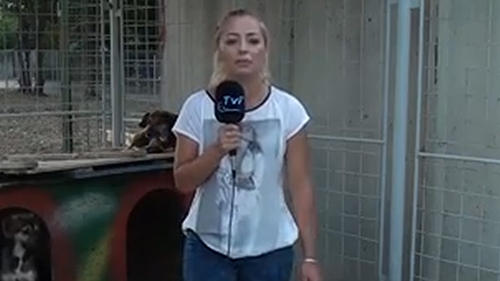 VIDEO Moment penibil pentru o reportera din Romania! Ce a patit in timp ce prezenta o stire: "S-a p***t pe mine! Bai, nene!"