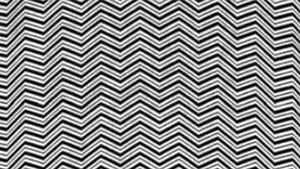 Iluzie optică virală | Doar 1 din 100 de oameni pot vedea ce animal se ascunde în această imagine