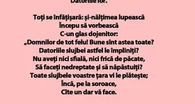 Galerie foto - poza 2