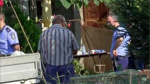 Primele date obținute din telefoanele lui Gheorghe Dincă. Ce au descoperit anchetatorii