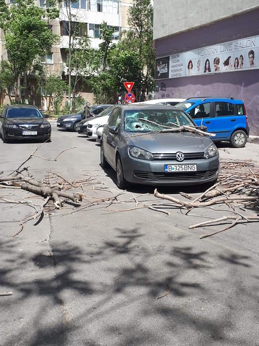 Vântul face ravagii în Capitală. Zeci de copaci au cedat rănind o persoană. FOTO
