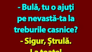 BANC | Bulă și treburile casnice