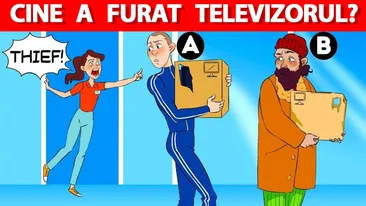 Test IQ pentru genii | Care dintre acești doi bărbați a furat televizorul din apartamentul femeii din imagine?
