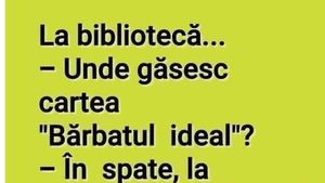BANCUL ZILEI | Unde se găsește cartea "Bărbatul ideal"?