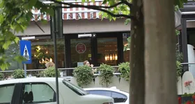 Galerie foto - poza 2