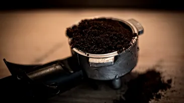 Mit sau realitate: zaţul de cafea este bun pentru flori? Ce trebuie să faci, de fapt
