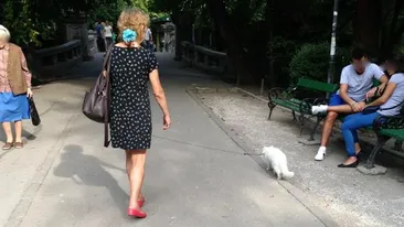 Acum le-am vazut pe toate! A iesit cu pisica in lesa in parc!