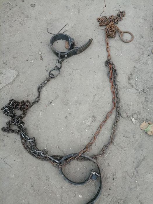Lanțurile cu care erau legați câinii lui Gheorghe Dincă
