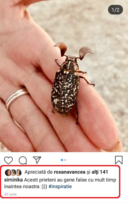 Detaliul dureros care a ieșit la iveală după ce What’s Up a anunțat divorțul de Simina! Avem dovezile