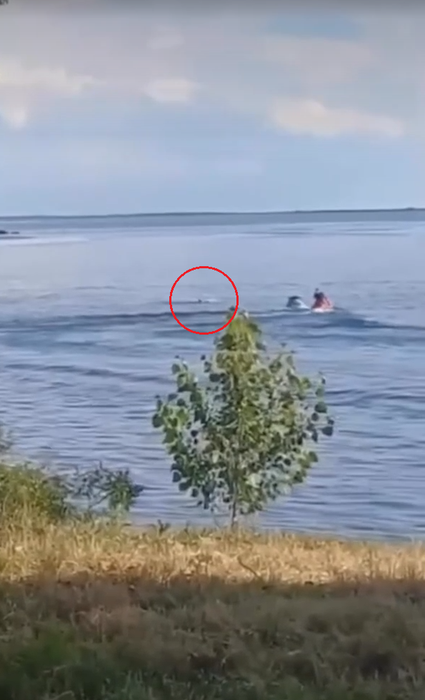 Skijtul rămâne neocupat, cei doi tineri fiind în apă / sursă foto: GANDUL