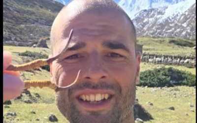 VIDEO Un culegător de ciuperci polonez a găsit „Viagra din Himalaya”, o trufă rară care poate ajunge la 100.000 de dolari pe kilogram