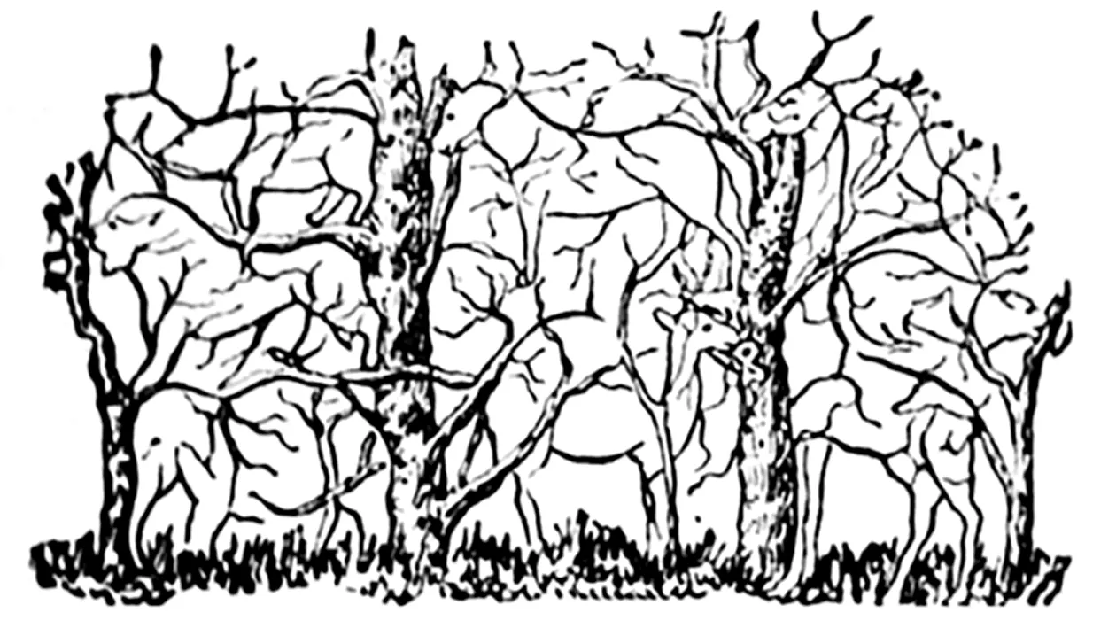 Iluzie optică virală | Câte animale apar, de fapt, în această imagine?