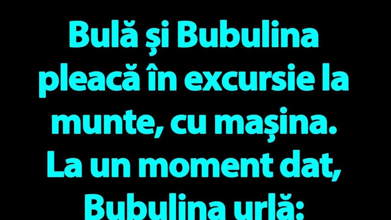 BANC | Bulă și Bubulina pleacă în excursie la munte, cu mașina