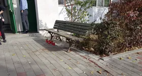 Galerie foto - poza 2