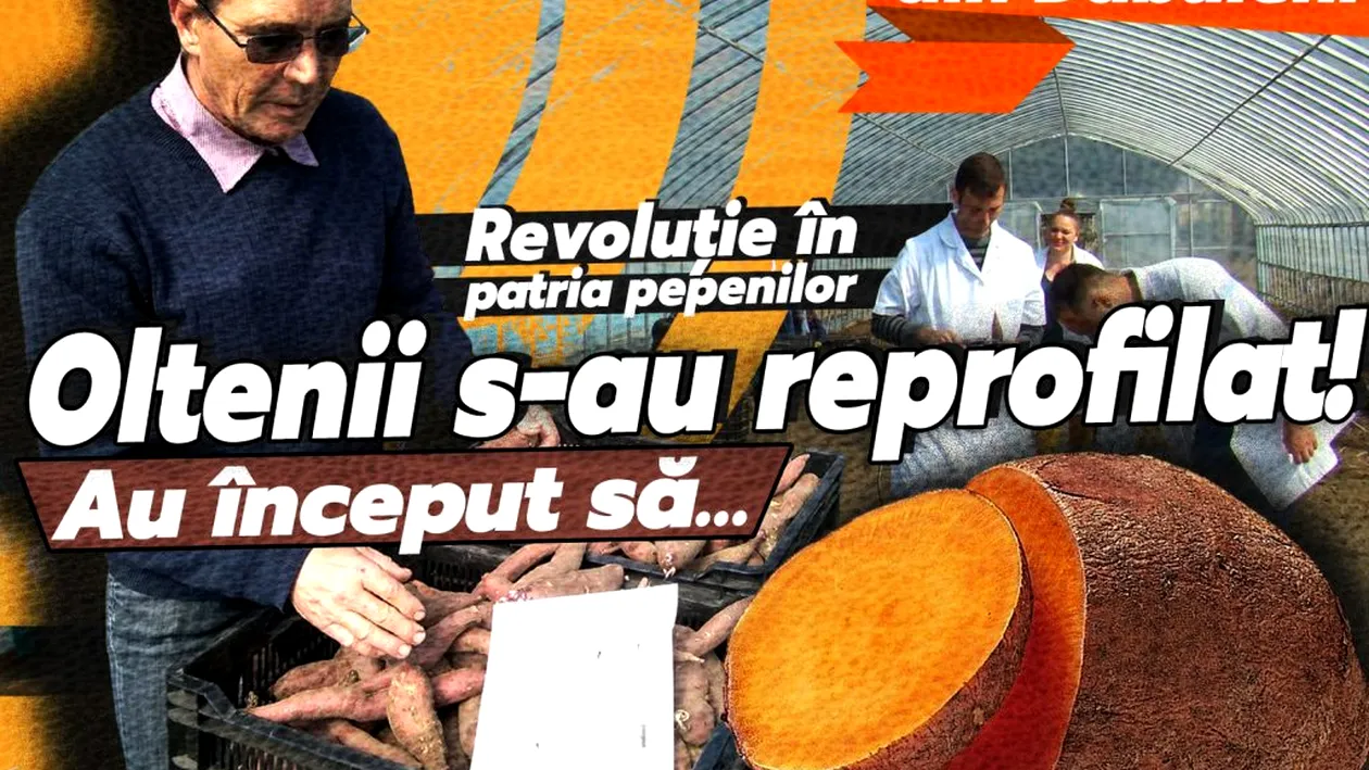 Revoluție în patria pepenilor. Oltenii s-au reprofilat! Au început să…