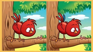 Test IQ | Găsește cele 5 diferențe dintre aceste două imagini. Geniile o fac în 21 de secunde!
