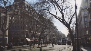 Iluzie optică virală | Găsește câinele ascuns în această imagine. Geniile îl descoperă în 10 secunde 