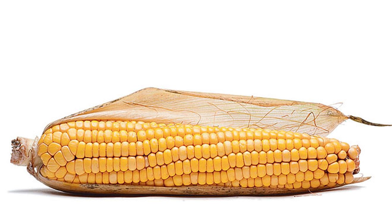 Si-a introdus un stiulete de 30 de centimetri in fund